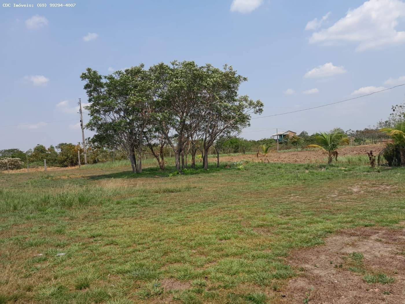 Fazenda, 2 hectares - Foto 2